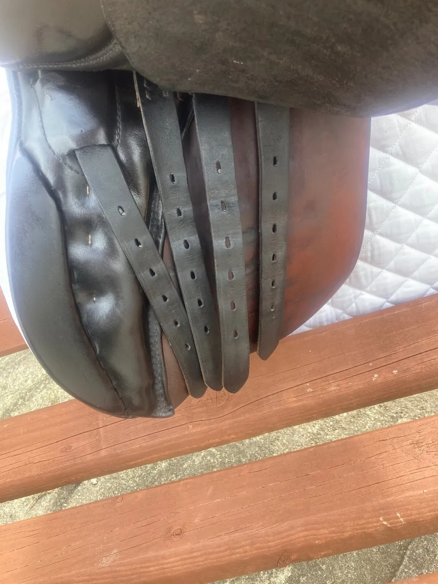 Stübben Saddle - Image 4