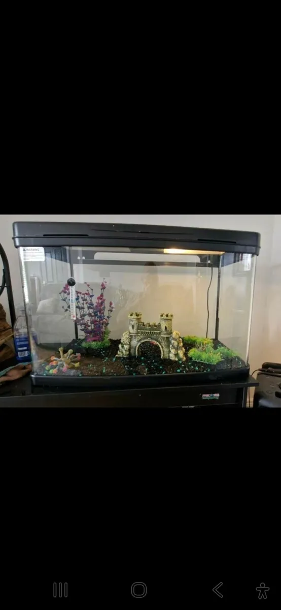 Tropical fish tank - Image 1
