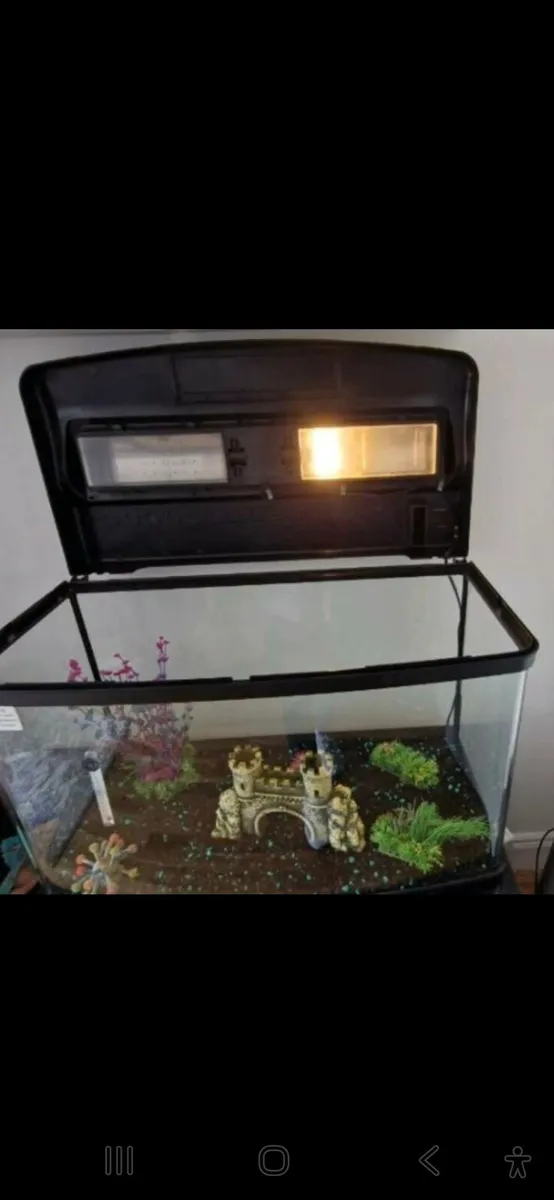 Tropical fish tank - Image 2