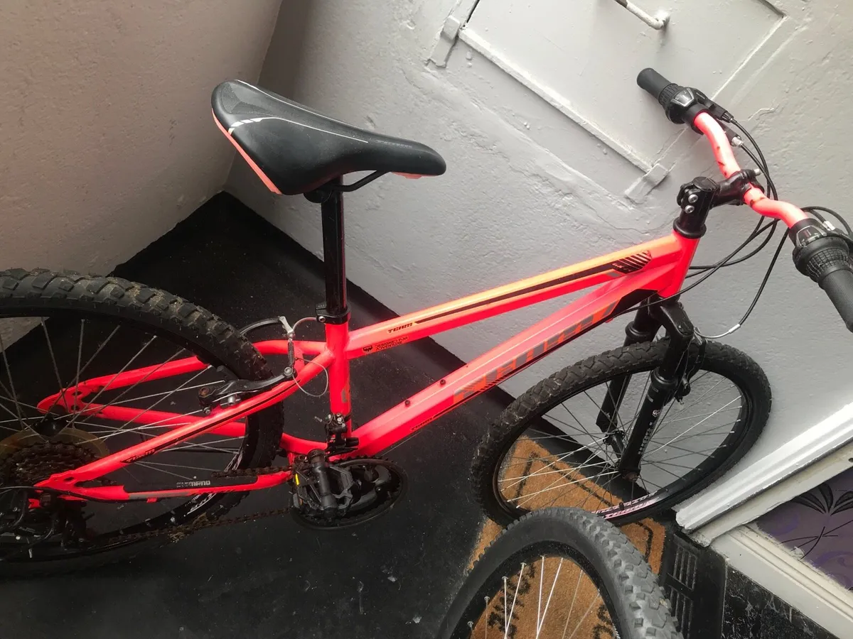 Kids mountain bike - Image 1