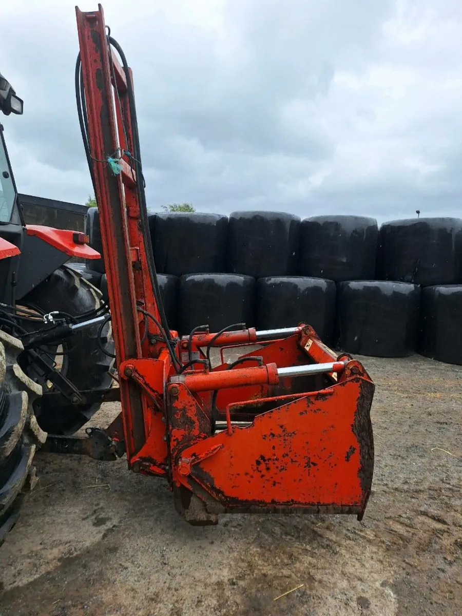 Shed Clearance - Image 1