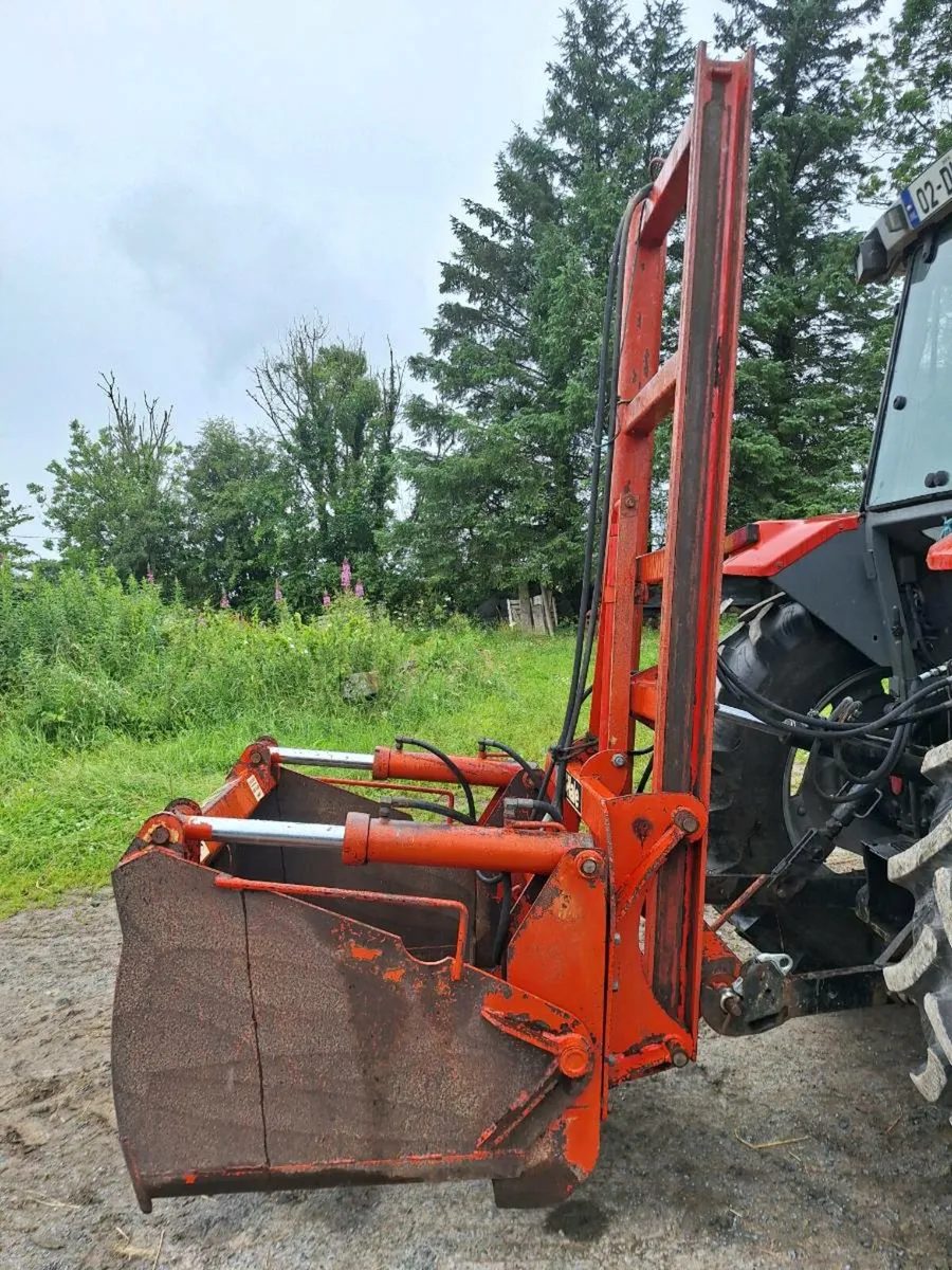 Shed Clearance - Image 3