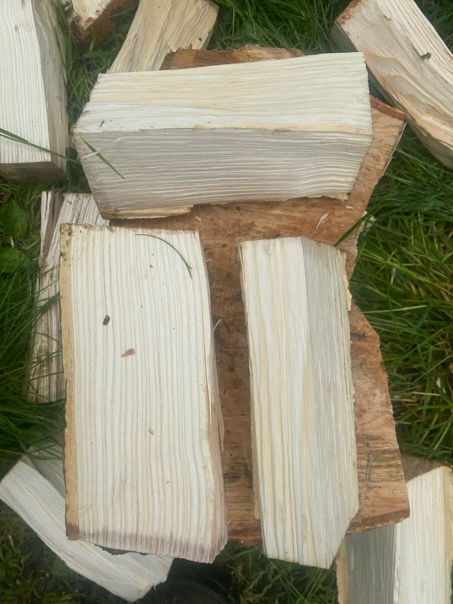 🔥Fire Wood🔥
