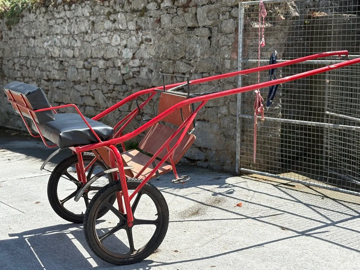 Harness and cart for sale full size - Image 1