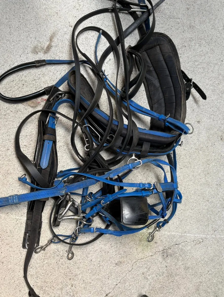 Harness and cart for sale full size - Image 4