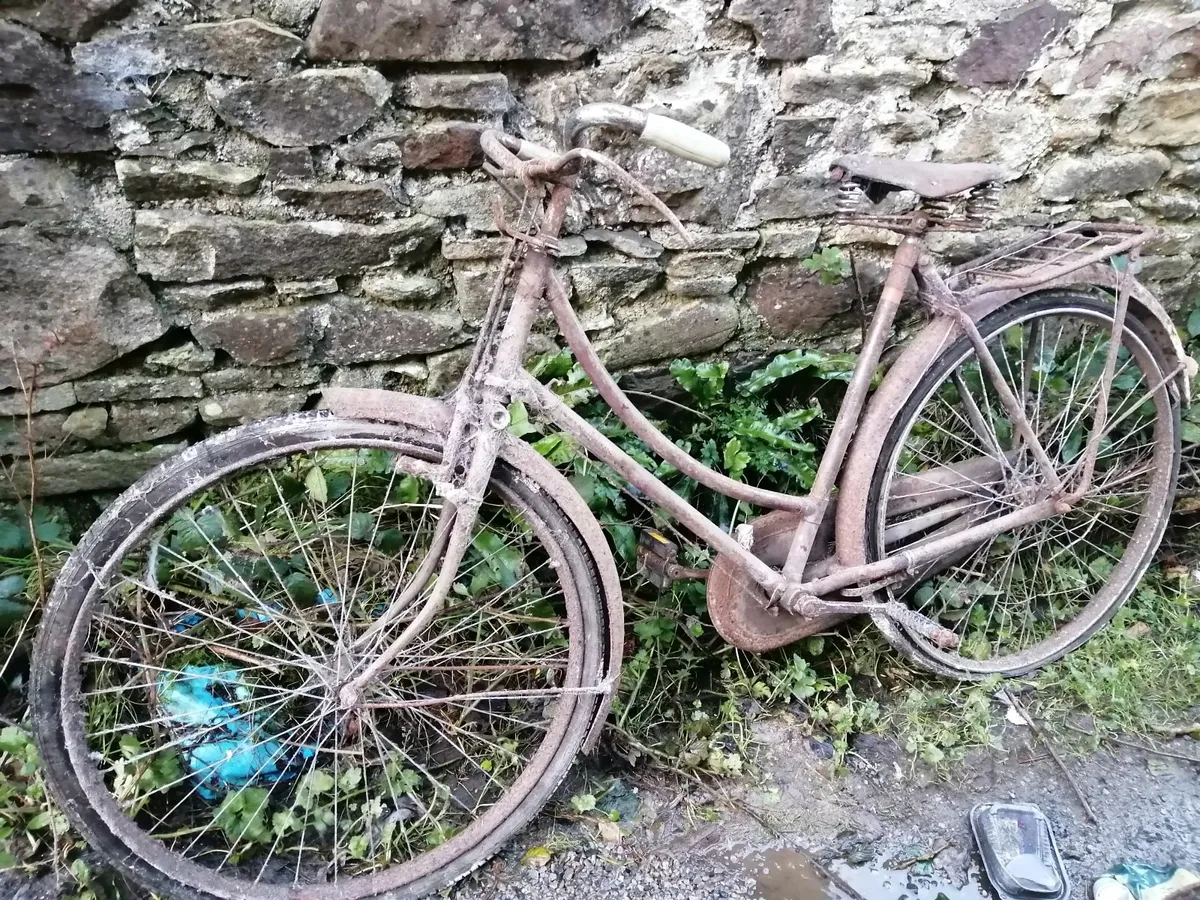 Womens High Nelly Bicycle - Image 1