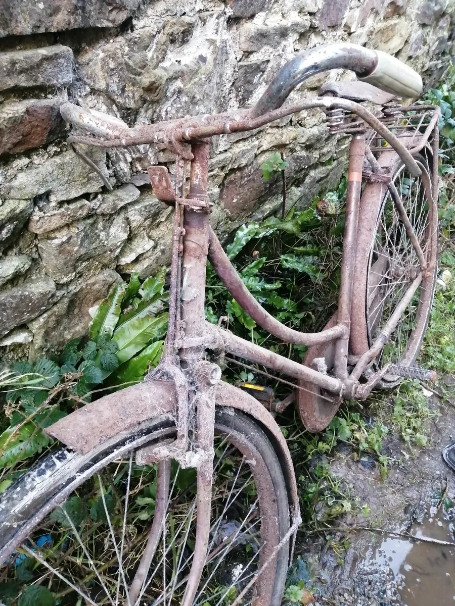 Womens High Nelly Bicycle - Image 2