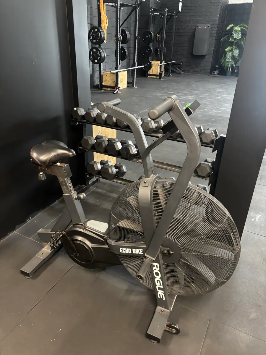 Rogue Assault Bike - Image 2