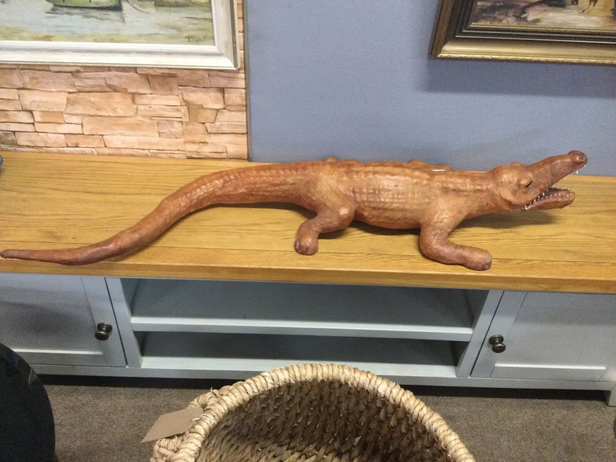 A large leather crocodile