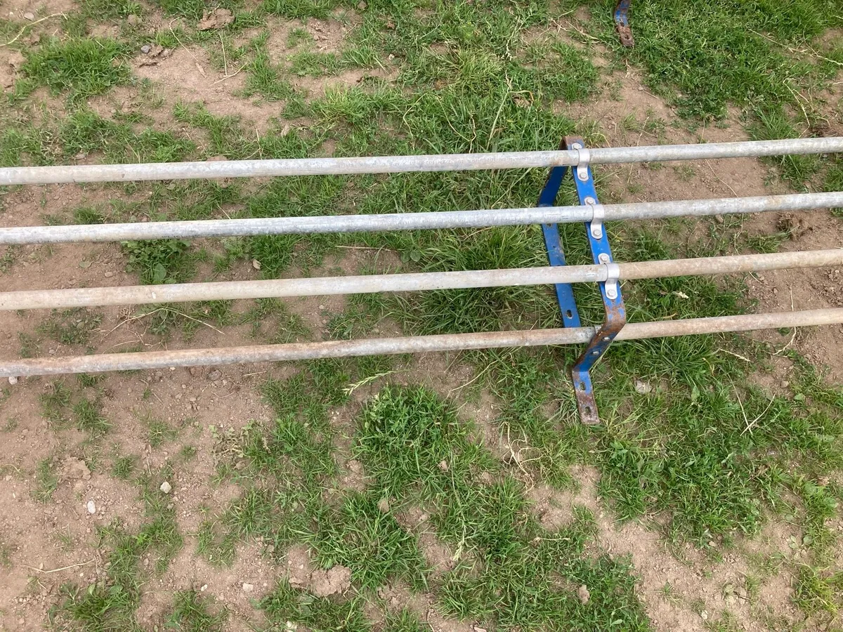 Parlor Feeder Protection Bars - Image 4