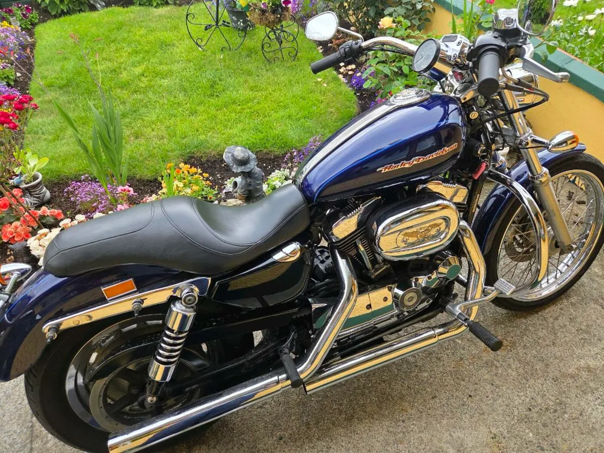 Harley Davidson Sportster XL 1200cc - Image 1
