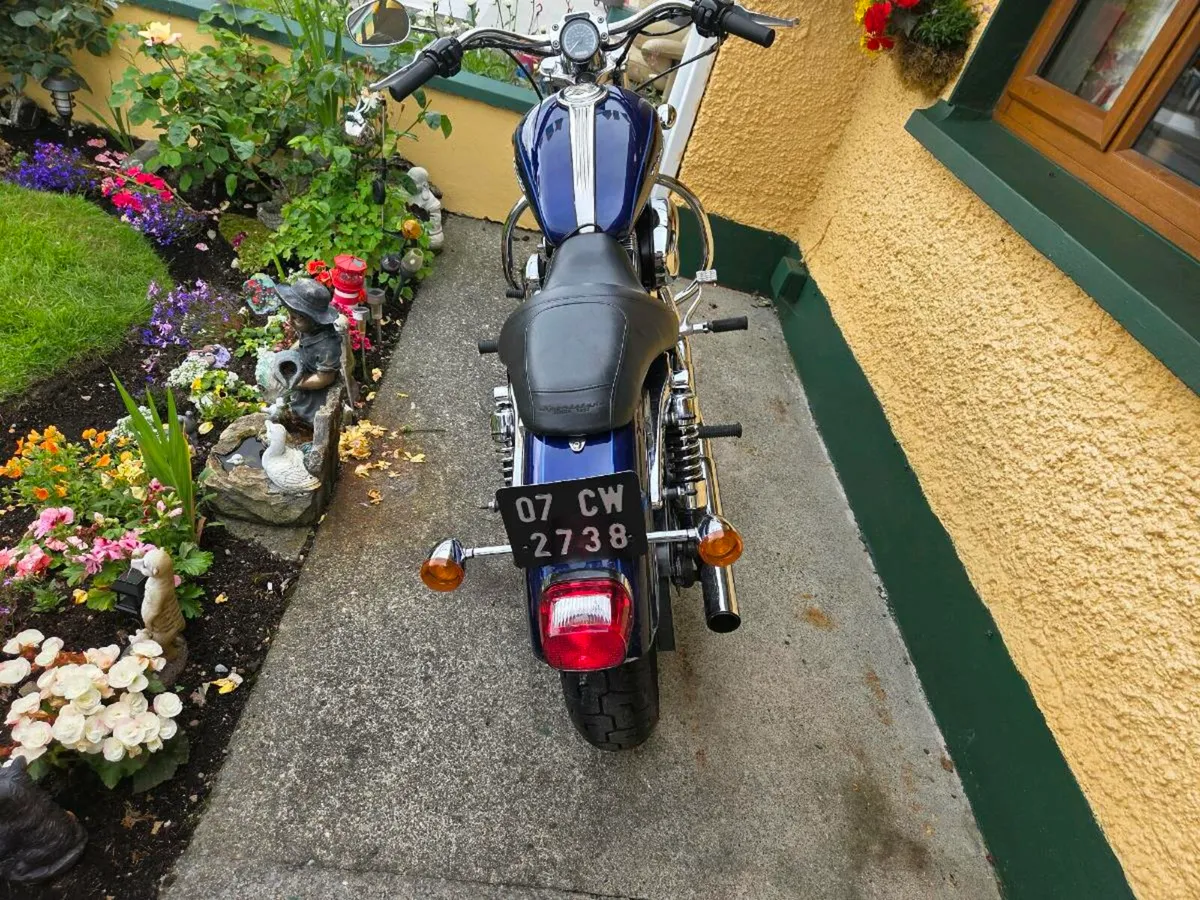 Harley Davidson Sportster XL 1200cc - Image 2