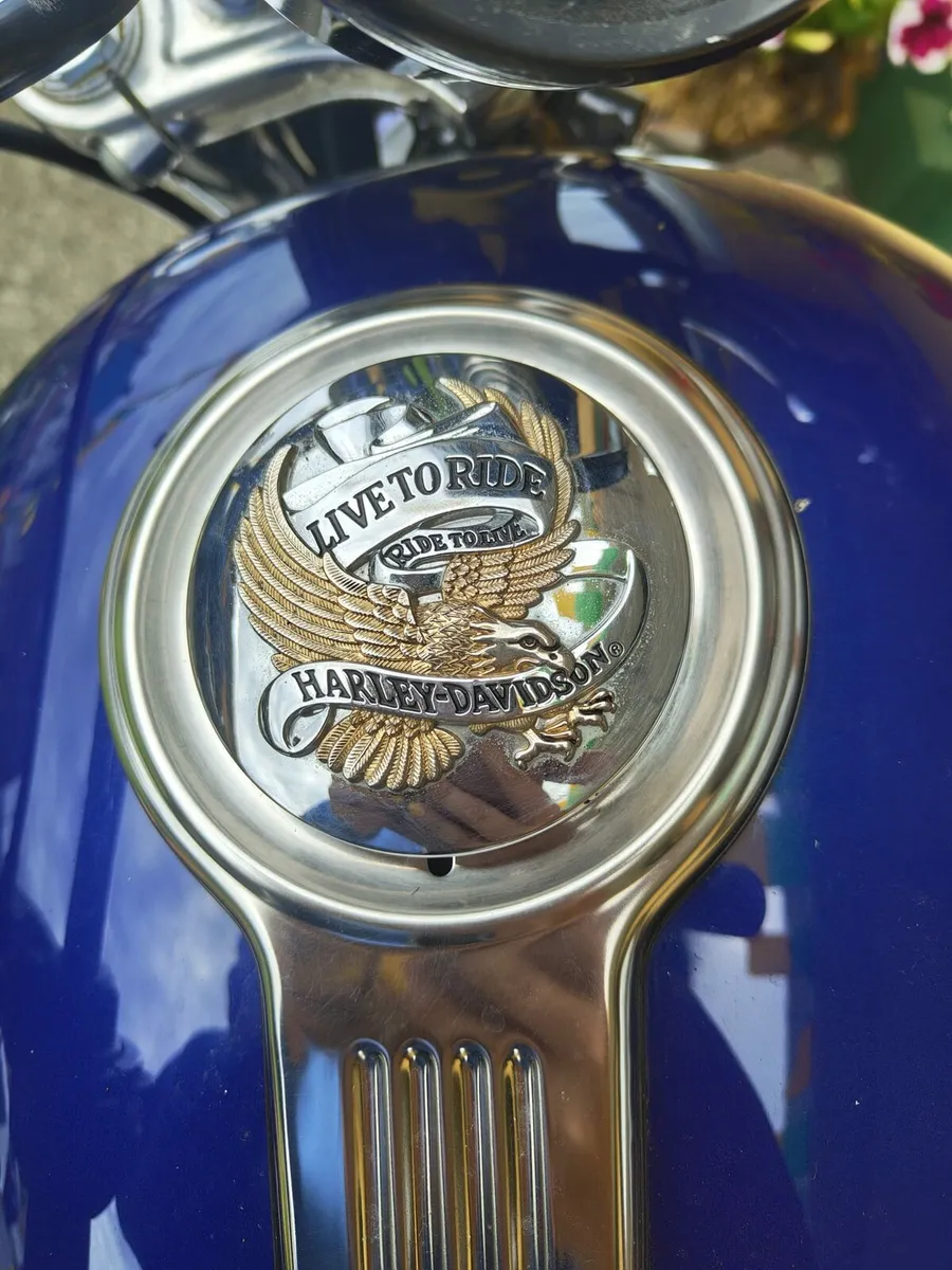 Harley Davidson Sportster XL 1200cc - Image 3