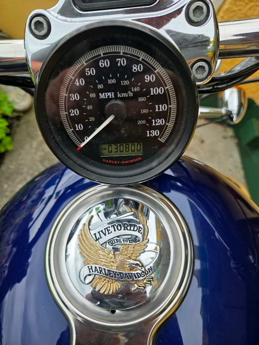 Harley Davidson Sportster XL 1200cc - Image 4