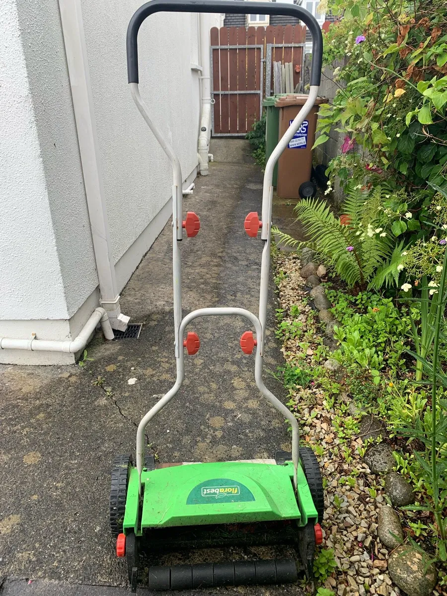 Push mower - Image 1