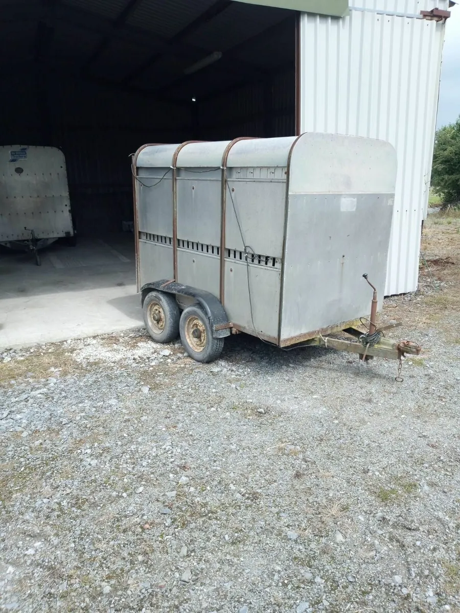 8x5 original Ifor Williams cattle trailer - Image 1