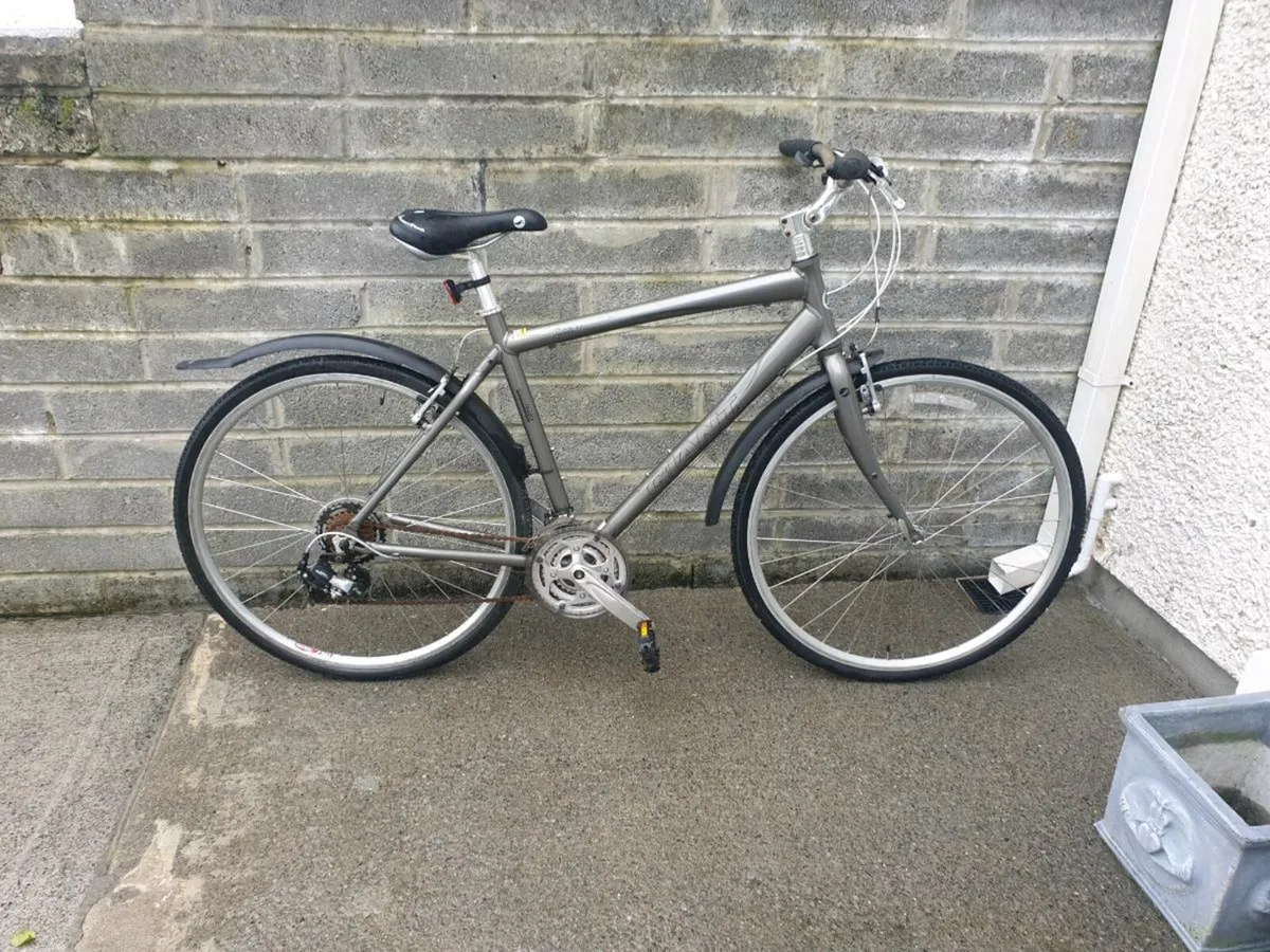 ADULTS GIANT BIKE - Image 1