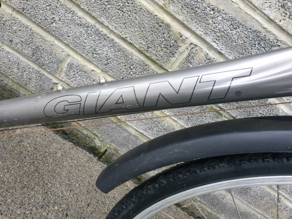 ADULTS GIANT BIKE - Image 2