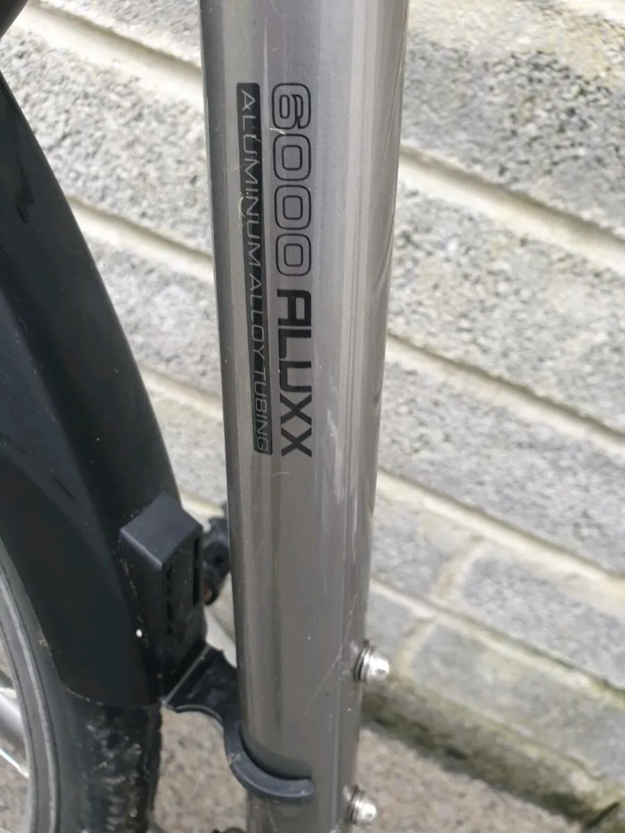 ADULTS GIANT BIKE - Image 3
