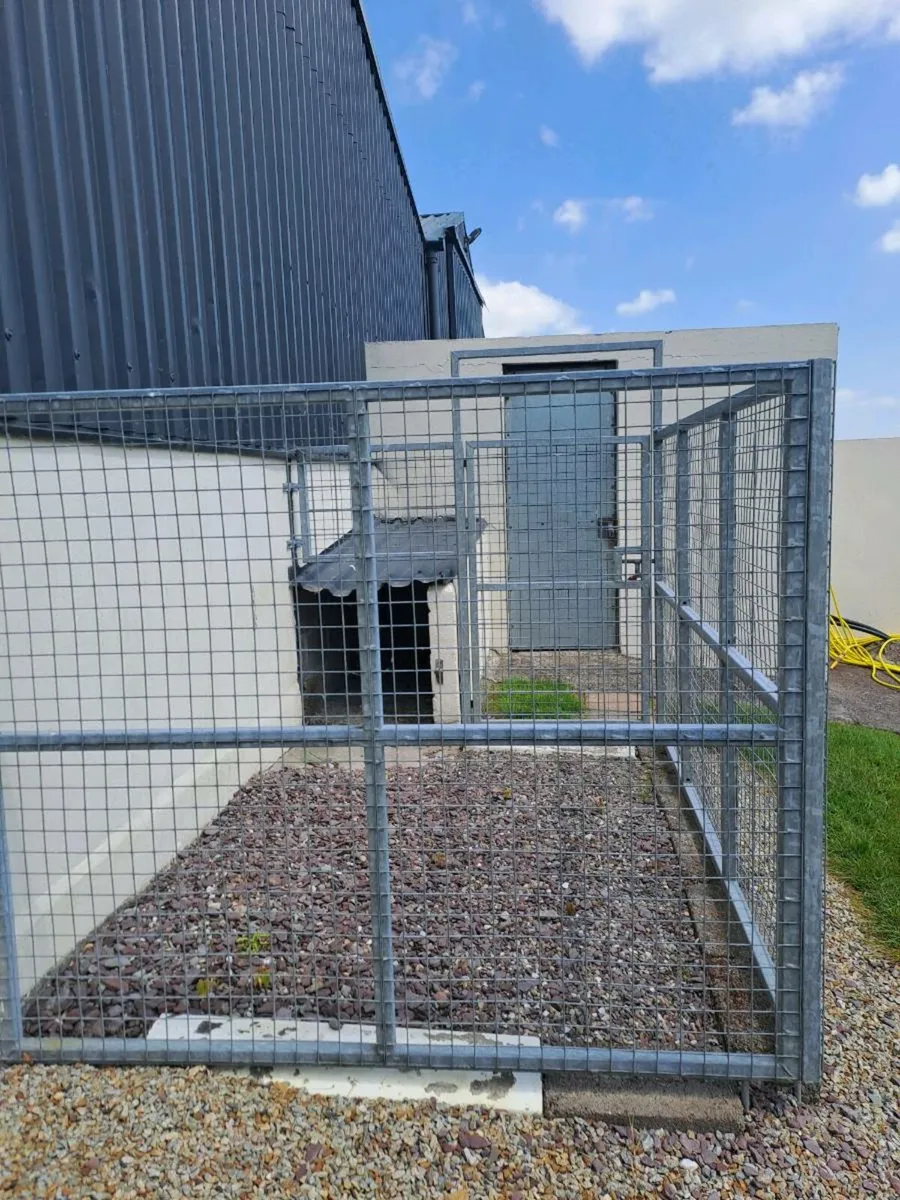 Dog kennel - Image 2