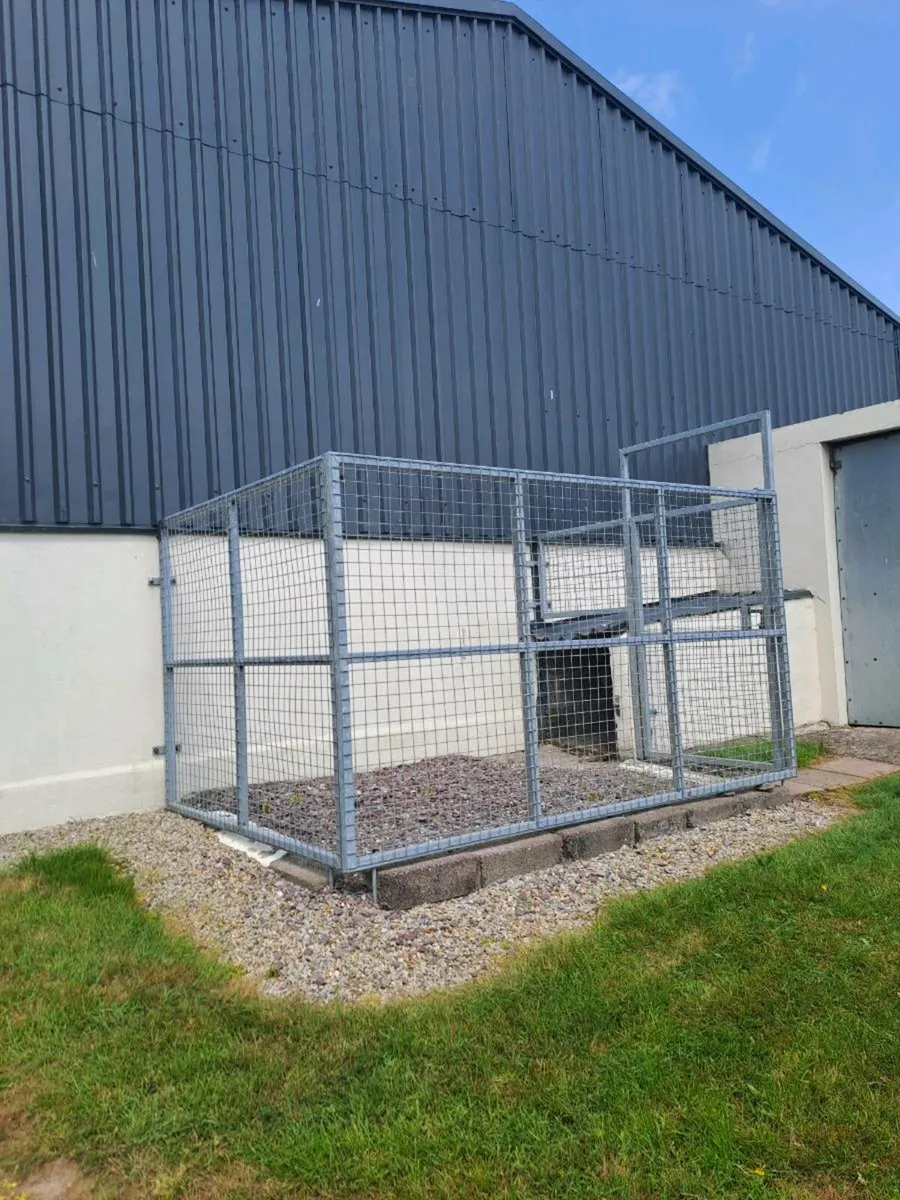 Dog kennel - Image 4