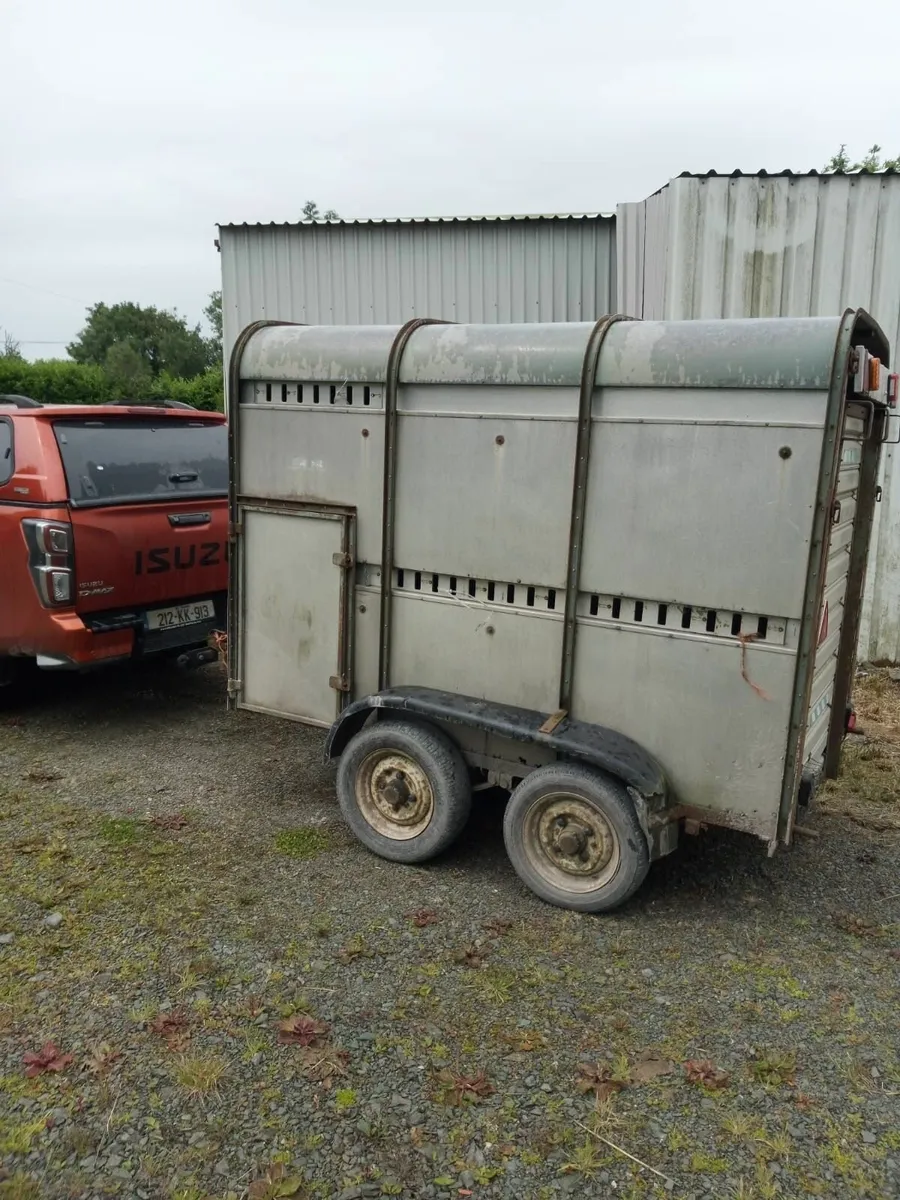 8x5 original Ifor Williams cattle trailer - Image 4