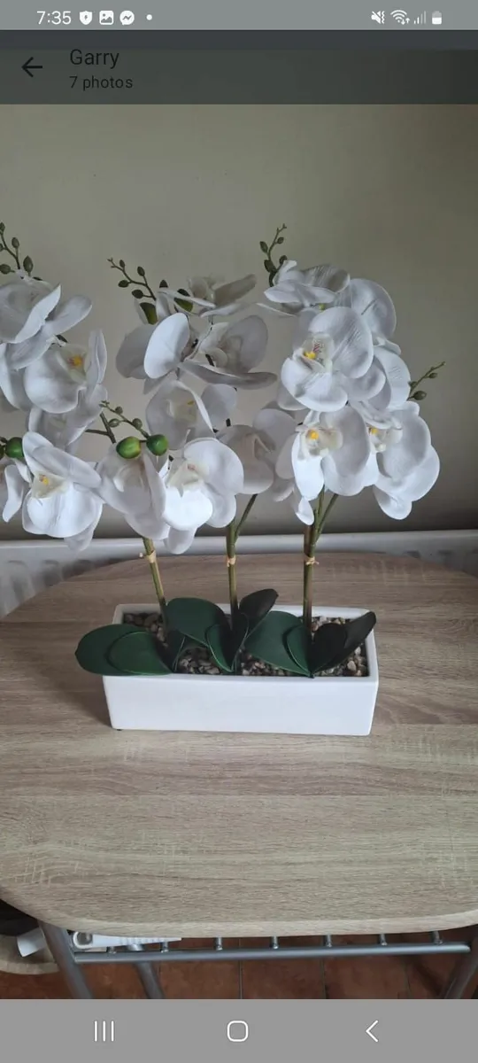 Flowers - Image 1