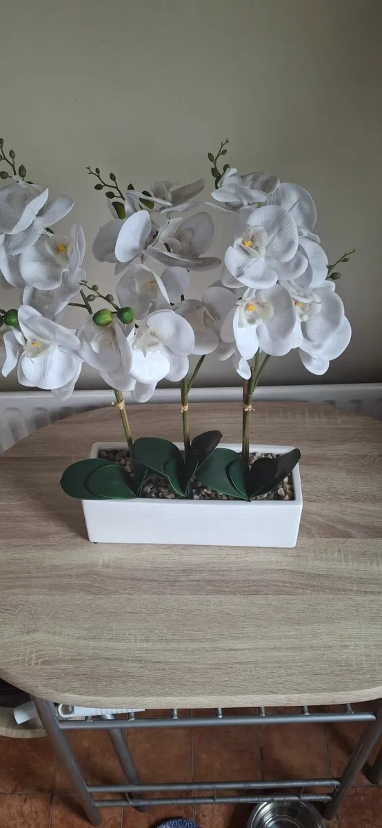 Flowers - Image 2