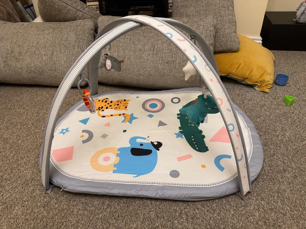 Play gym