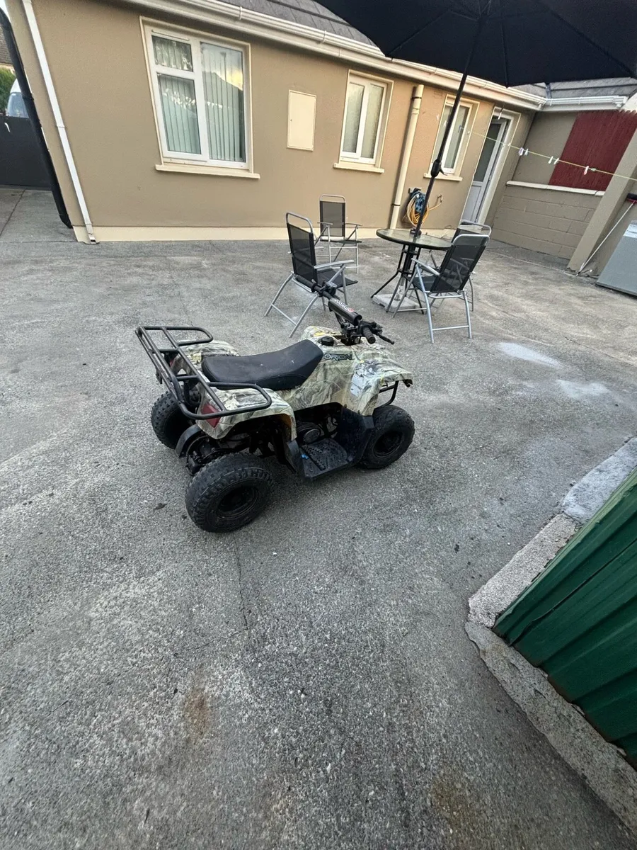 Mini Farm Quad - Image 2