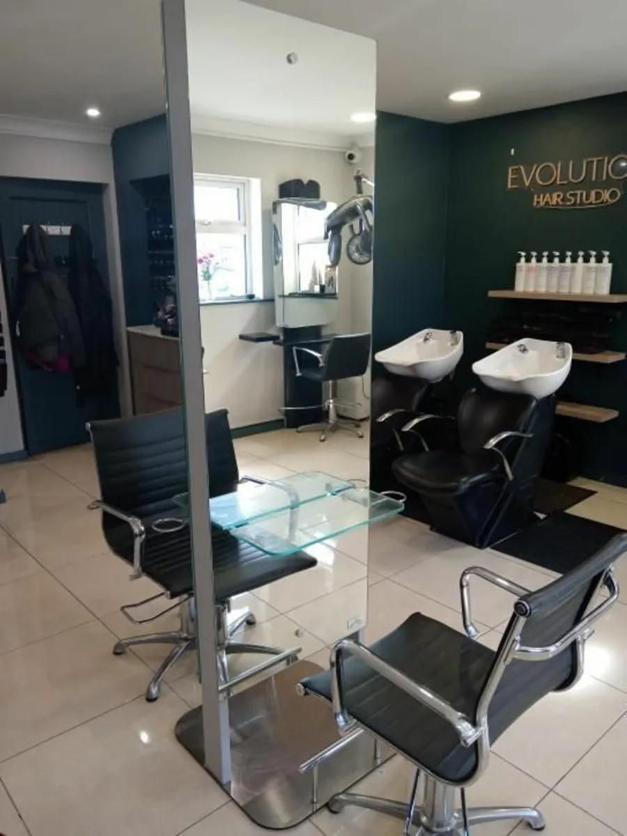 Salon furniture - Image 1