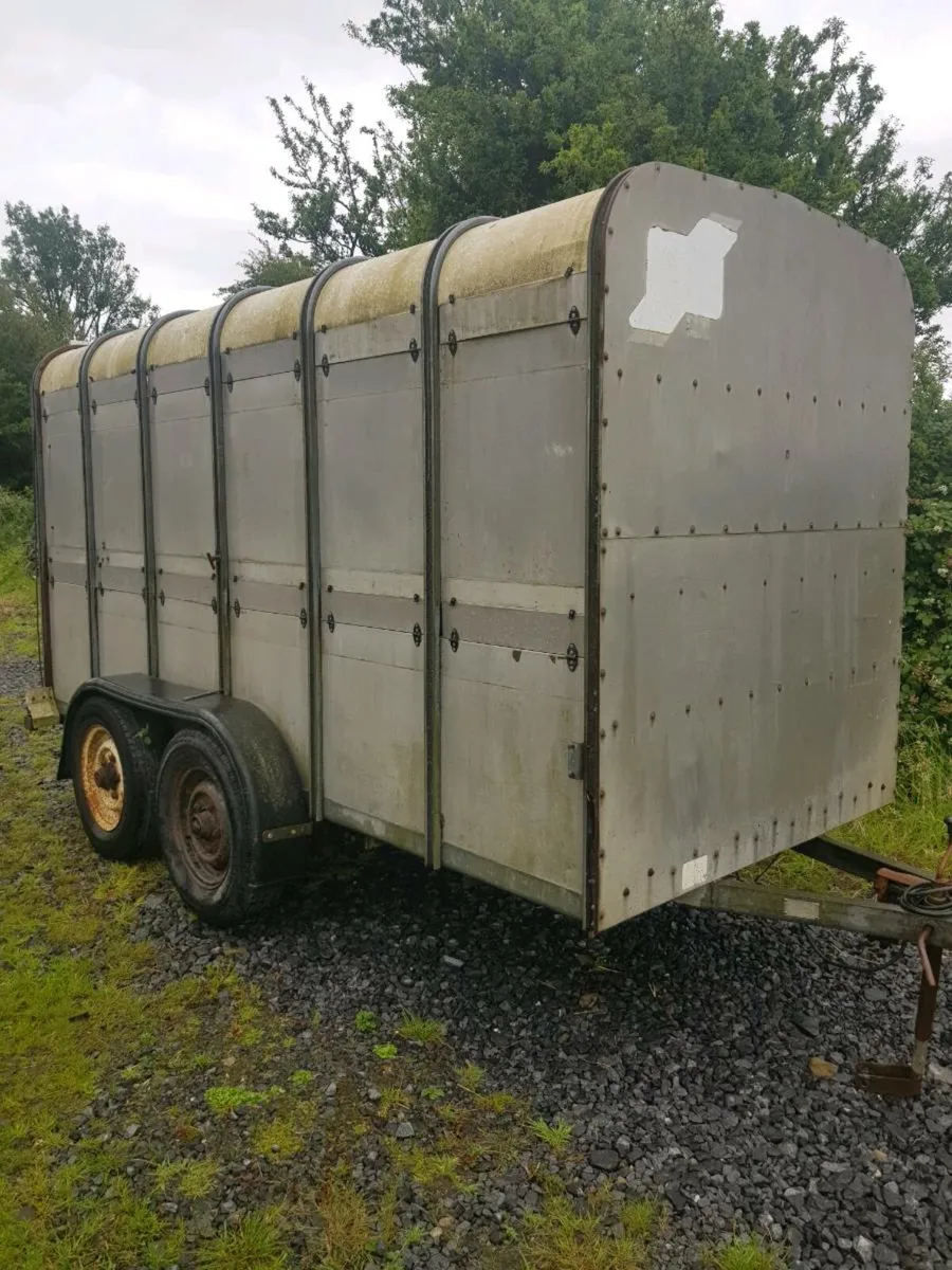 Ifor Williams 12x5 Cattle trailer €1850 - Image 2