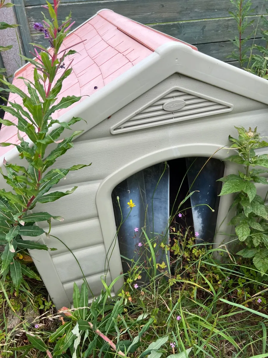 Dog houses x 2 free to collect - Image 3
