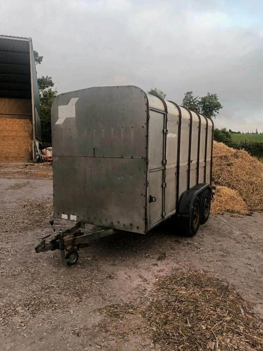 Ifor Williams 12ft x 5ft cow box - Image 1