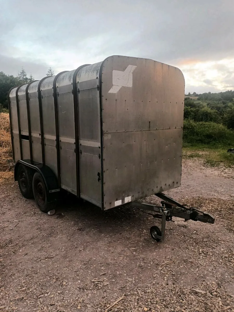 Ifor Williams 12ft x 5ft cow box - Image 2