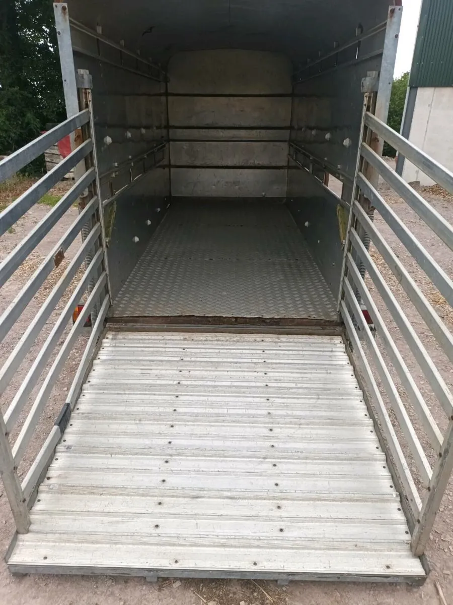 Ifor Williams 12ft x 5ft cow box - Image 4