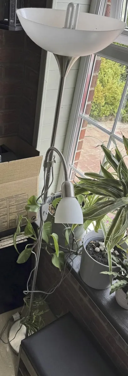 FREE - Lamp, Dual - Image 1
