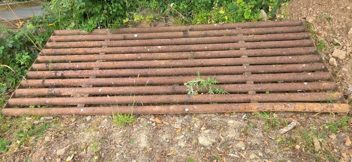 Cattle Grid