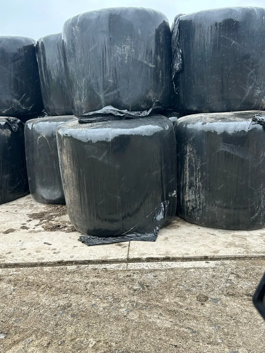 May 2025 haylage for sale - Image 1