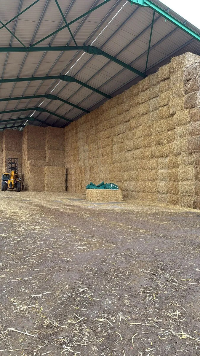 New season English Barley straw available in 8x4x3 - Image 2
