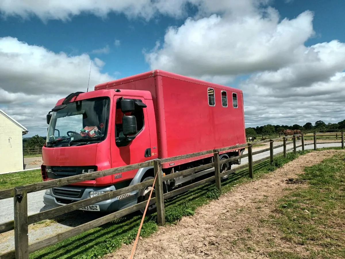 7.5 ton 13 reg lf daf - Image 3