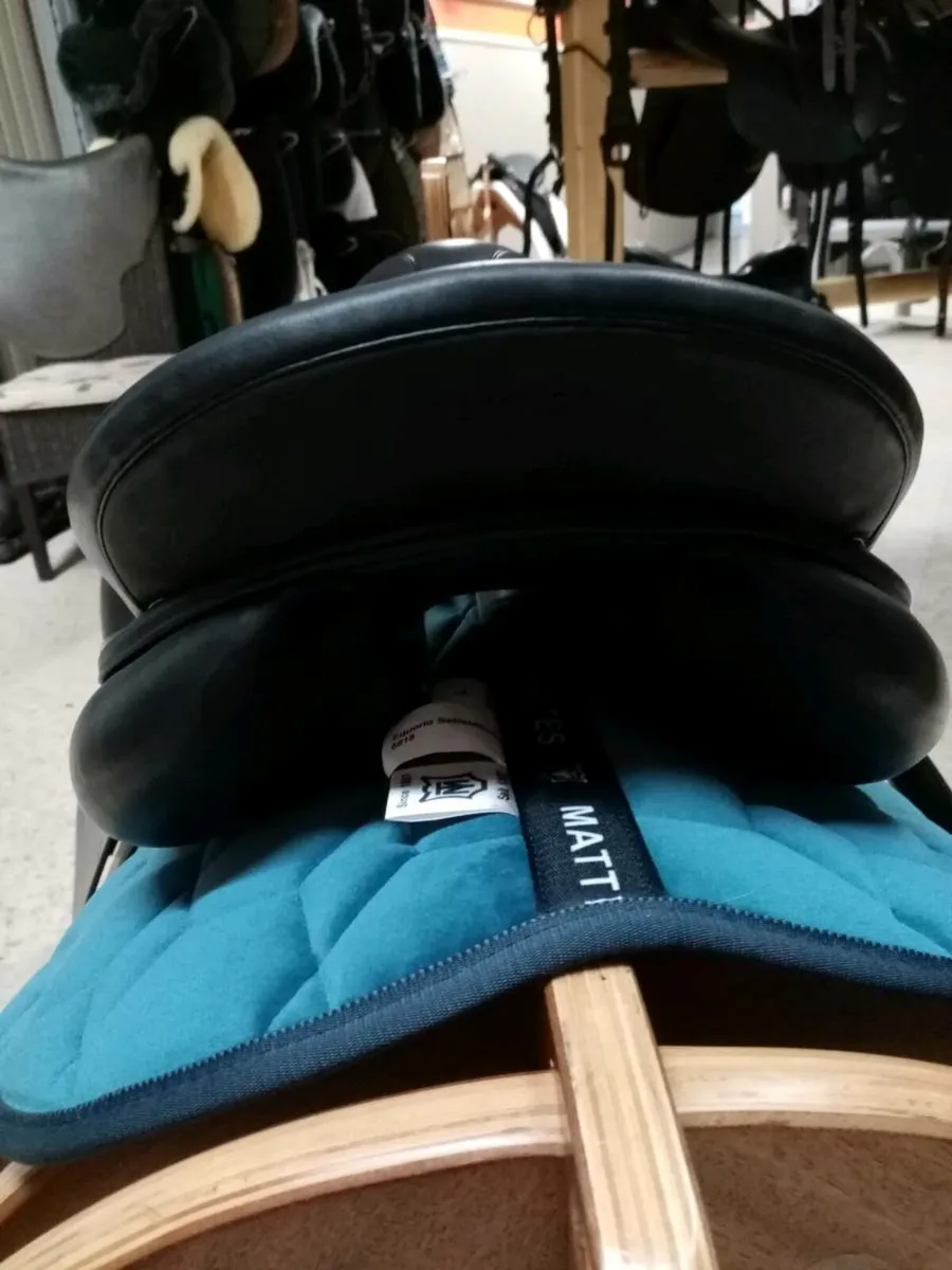 GP saddle Prestige - Image 2