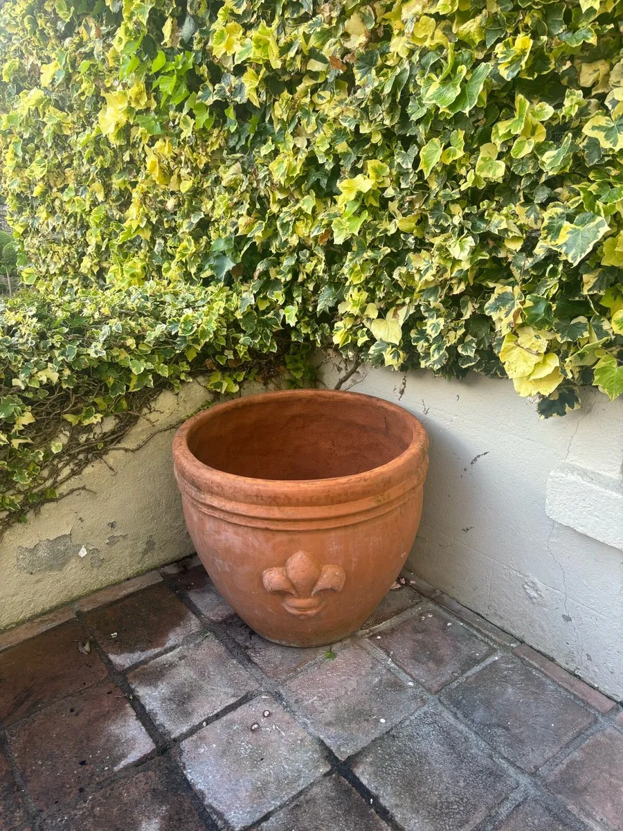 Very large Aged Italian Terracota pots - Image 1