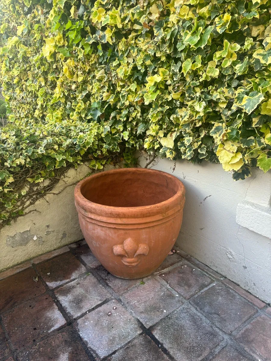Very large Aged Italian Terracota pots - Image 2