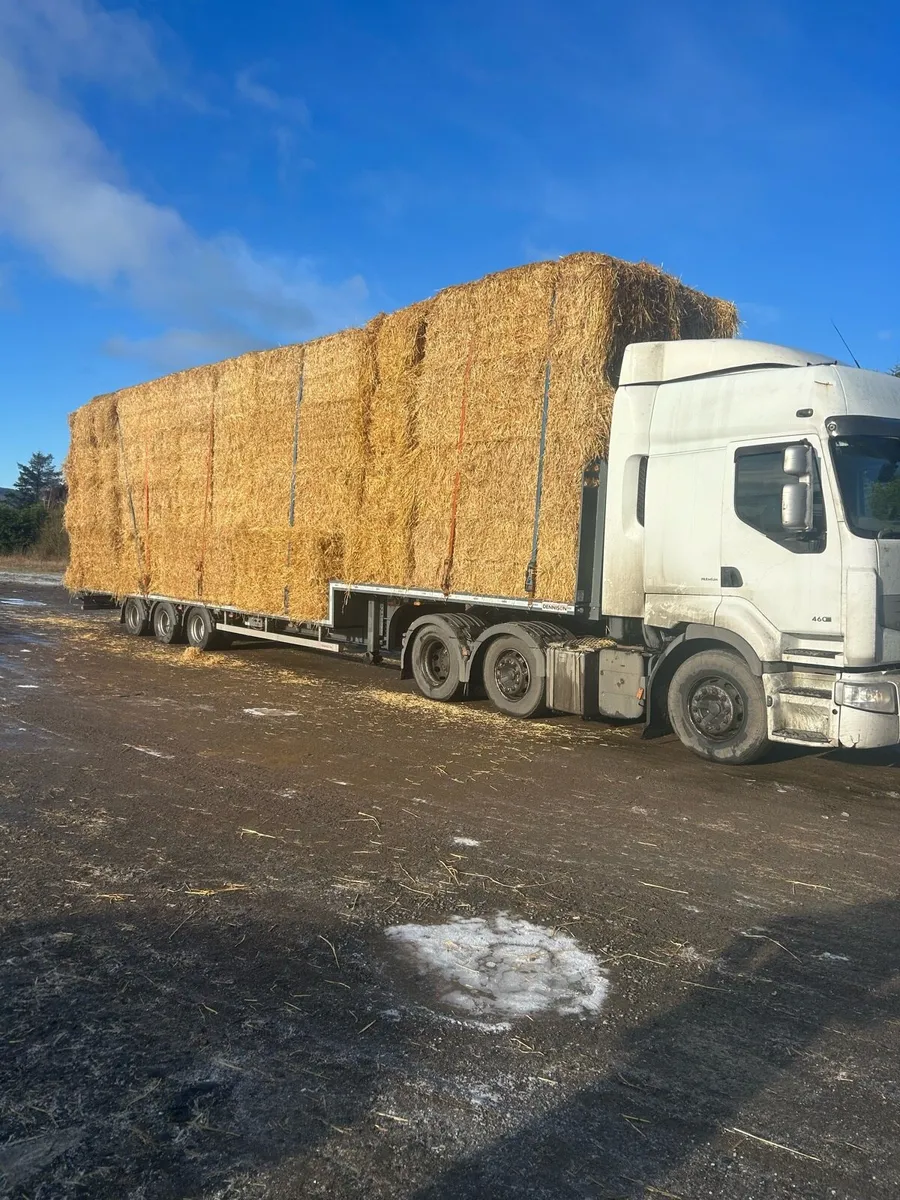 New season English Barley straw available in 8x4x3 - Image 1
