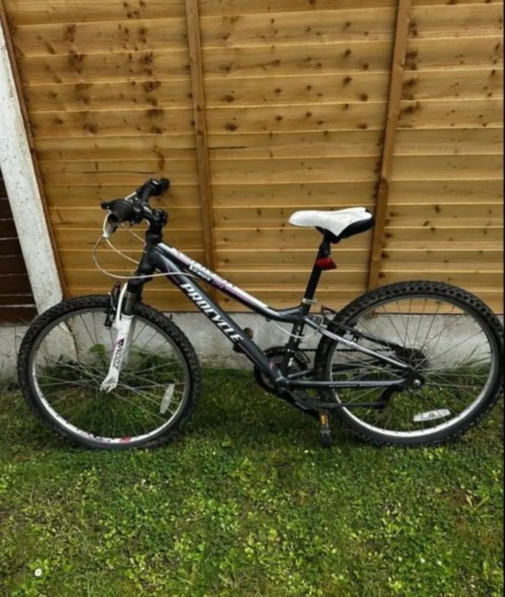 Ladies, bike - Image 1