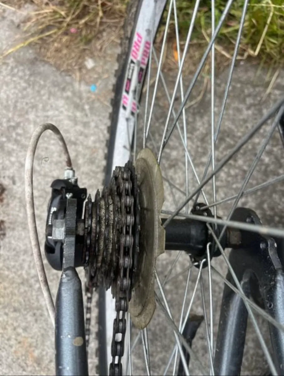 Ladies, bike - Image 2