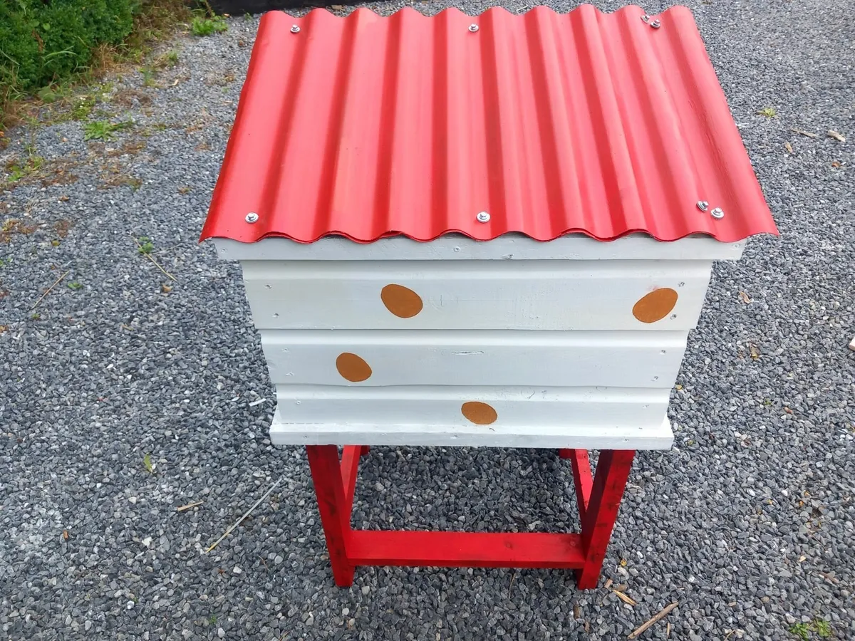 Honest box for selling chicken eggs or other stuff - Image 3
