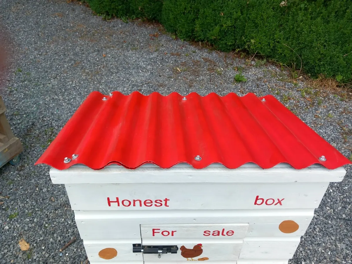 Honest box for selling chicken eggs or other stuff - Image 4