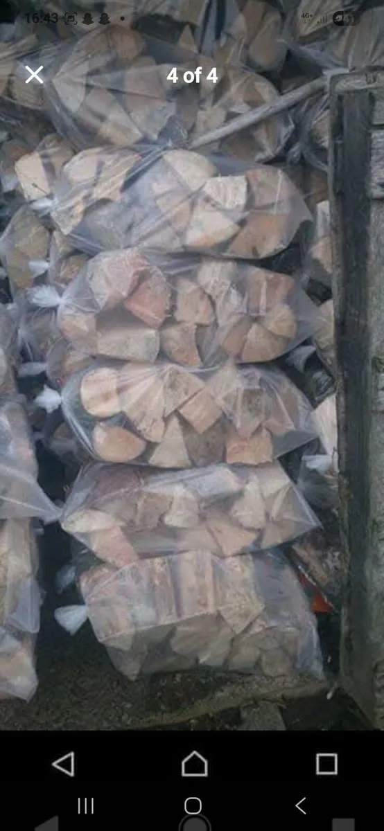 Logs - Image 1